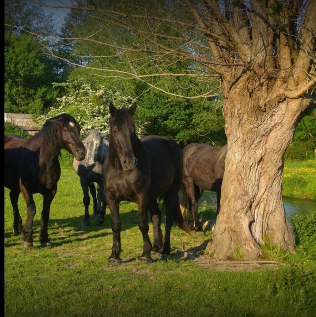 La Meuniere Villa Jouy  Екстериор снимка